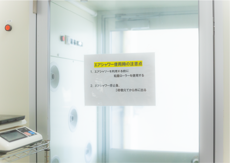 写真：生きくらげ