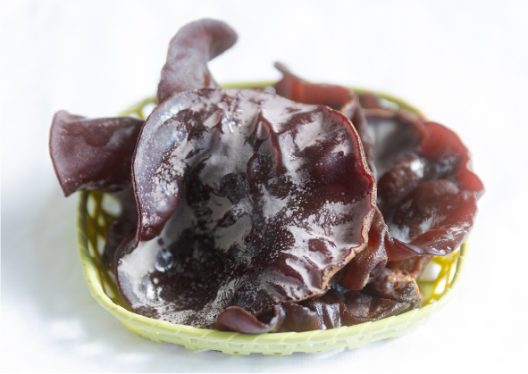 写真：生きくらげ